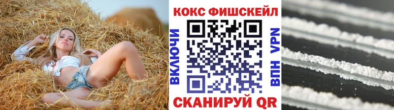 Купить закладки  Жердевка  Кокаин 98% 