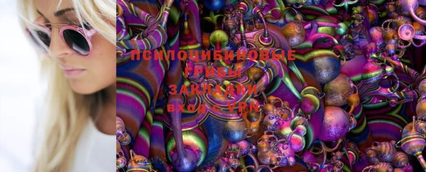прущий лед Горно-Алтайск