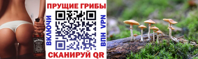 Псилоцибиновые грибы мухоморы  Купить закладки  Жердевка 